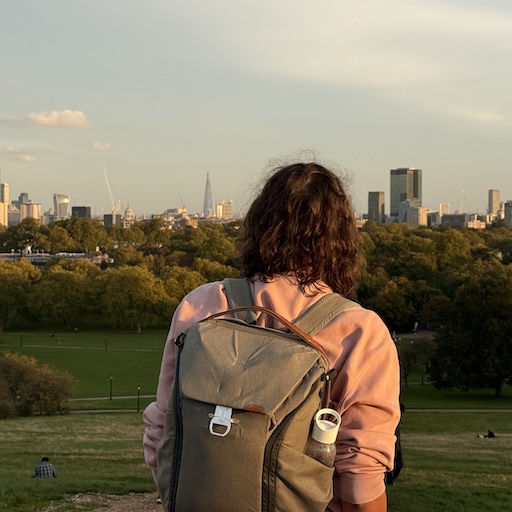 Ellie facing away from the camera, wearing a grey backpack. She is looking at a skyline in the distance, lit in the warm, orange glow of late evening